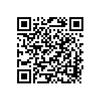 中國光伏謀變：從“三頭在外”到問鼎全球