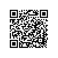 中國新能源汽車的進(jìn)攻型嬗變