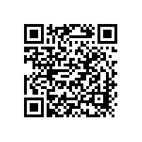 中國智能電網(wǎng)將有大發(fā)展