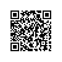 賦能學習，聚力升級|左右手廣東服務(wù)商走進費斯托培訓學習