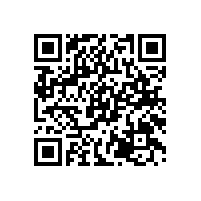 沙發(fā)清洗維修：大紅酸枝素面沙發(fā)，客廳家具不將就