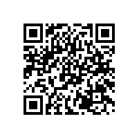 沙發(fā)維修市場(chǎng)：貓咪抓窗簾和沙發(fā)，有哪些值得推薦的沙發(fā)養(yǎng)護(hù)方法?