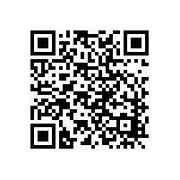 【臥室家具裝飾】臥室古典紅木家具之三：貴妃榻