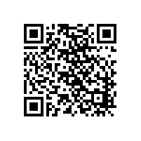 中式家裝防水：家居家裝行業(yè)研究，家居家裝龍頭在哪里誕生？