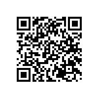 左右手2015-2016年度工作總結(jié)大會