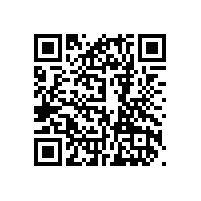 左右手廣東運營中心篇|一路披荊斬棘，成為左右手在廣東的“一省之長”