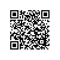 【苏州】答用户疑问：木地板胚料有虫眼，能不能用汉林修补腻子？