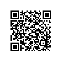 什么是电动罗马帘？