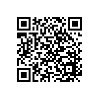 平面轴承工厂-赛襄轴承关注舍弗勒南京汽车发动机零部件生产基础正式投用