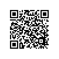 博朗斜邊機(jī)磨輪，拋光性能好