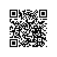 報(bào)告廳音響 爵士龍DSP數(shù)字有源系統(tǒng)超低音N-108CS