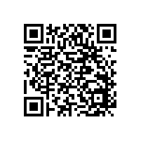 體育館音響 爵士龍DSP數(shù)字有源揚(yáng)聲器系統(tǒng)N-15CS