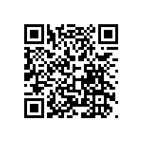 Z國電子信息百強(qiáng)企業(yè)