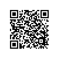 四川成都箱式變電站生產廠家為金磚會議圓滿成功喝彩！