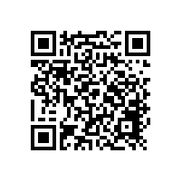 用心服務的WTR軸承加熱器