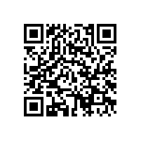 WTR軸承加熱器-馬鋼