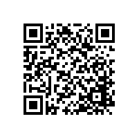 不同项目的大跨度钢结构施工要点，合理设计应做好哪些?