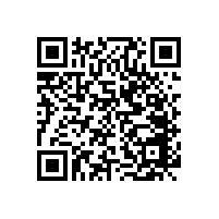 安裝馬桶老人無(wú)障礙衛(wèi)生間扶手告別災(zāi)難現(xiàn)場(chǎng)【藍(lán)品盾】