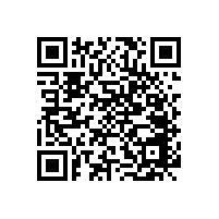 設(shè)計(jì)感強(qiáng)的衛(wèi)生間扶手可以選擇這樣的！【藍(lán)品盾】