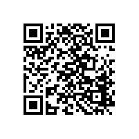 “仲”志成城 “鉑”擊長空——仲鉑新材料有限公司參加佛山大灣區橡膠展記實