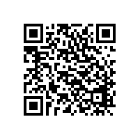 印度進口貨量增長16%，青島巨暉出口代理報關公司詳解