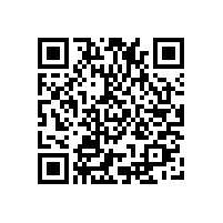 本土智造Parker儀表球閥TLB系列