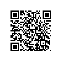 100%桑蠶絲絲巾多少錢(qián)