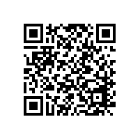 90后研究生：探析毛泽东党员干部选拔思想