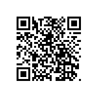 舌侧集中牙合（Lingualized occlusion）理论和排牙方法