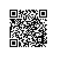 老年人安裝衛(wèi)生間扶手應(yīng)該應(yīng)地制宜、靈活應(yīng)對(duì)