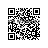 丹鳳縣國土資源局辦公樓辦公網(wǎng)絡及辦公自動化建設項目競爭性談判公告（陜西）