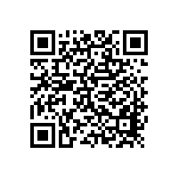 勉縣金泉鎮(zhèn)生活垃圾熱解氣化處理設備采購項目公開招標公告（漢中）