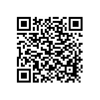 陜西省安康市嵐皋縣國稅局綜合業(yè)務(wù)辦公用房維修項目資格預(yù)審公告（陜西）