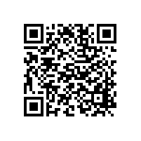 國家發(fā)改委：關(guān)于印發(fā)中央預(yù)算內(nèi)投資資金申請報告編寫和批復(fù)格式文本的通知