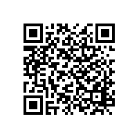 寧陜縣2016年度招標(biāo)代理等中介機(jī)構(gòu)招選成交公告（陜西）