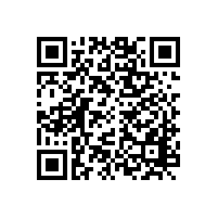 四部門發(fā)文，不得要求外地企業(yè)設(shè)立分（子）公司！不得排斥、限制外地經(jīng)營者參加本地招標(biāo)投標(biāo)、政府采購！