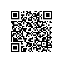 四川省財(cái)政廳關(guān)于印發(fā)《四川省政府集中采購目錄及標(biāo)準(zhǔn)（2024年版）》的通知