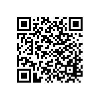 陜西省住建廳：關(guān)于印發(fā)《工程建設(shè)領(lǐng)域?qū)I(yè)技術(shù)人員違規(guī)“掛證”行為專項(xiàng)治理工作方案》的通知