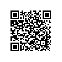 招標(biāo)代理機(jī)構(gòu)：項(xiàng)目經(jīng)理各階段任務(wù)-項(xiàng)目開工前階段