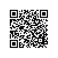 招標(biāo)代理機(jī)構(gòu)是投標(biāo)人的下屬獨(dú)立法人，這樣可以投標(biāo)嗎？