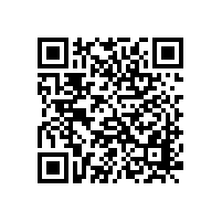 招標(biāo)代理機(jī)構(gòu)：招標(biāo)中不合理現(xiàn)象的經(jīng)濟(jì)學(xué)成因（二）