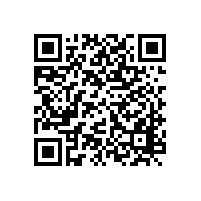 中辦國(guó)辦印發(fā)中小企業(yè)發(fā)展指導(dǎo)意見(jiàn) 政府采購(gòu)支持力度空前