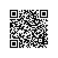 政府采購(gòu)中，總公司可以授權(quán)給分公司來(lái)完成中標(biāo)項(xiàng)目嗎？