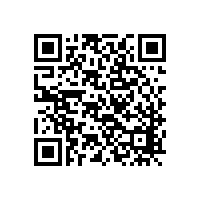 美制內(nèi)六角螺栓全牙——用心服務(wù)終會(huì)贏得訂單-世世通