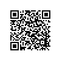 內(nèi)六角臺階螺絲可以定制嗎？