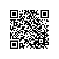 家裝新中式風(fēng)格家具：新中式石材背景墻上墻實景效果欣賞