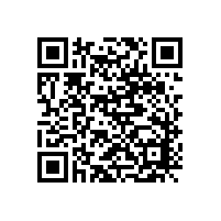 低速直驱永磁电机技术及应用进展