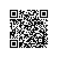 破解稀土依赖：ZB系列高效永磁同步电机