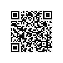 【四川】會議室音響係統 樂山市政府會議室