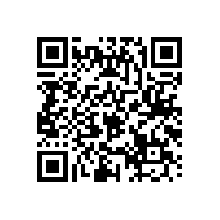 线阵音箱系统声反馈的危害